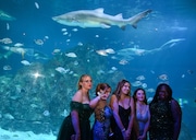 Students from Gateway Regional High School celebrate their prom at Adventure Aquarium in Camden, NJ on Thursday, May 22, 2025.