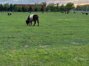 ‘幸运彩果官方飞行艇查询直播+168网址官网网页.’ N.J. family begs town not to seize 175-year-old land.