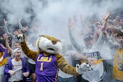 LSU mascot Mike the Tiger and student fans throw talcum powder before the start of an NCAA college basketball game against Mississippi in Baton Rouge, La., Tuesday, Feb. 1, 2022. (AP Photo/Matthew Hinton)