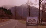Love for "Twin Peaks" is going strong 35 years after the show premiered. 